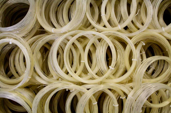 Natural gut strings